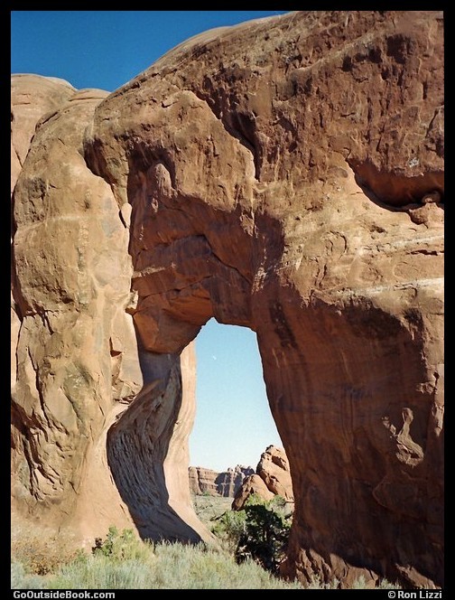 Pine Tree Arch - Arches National Park