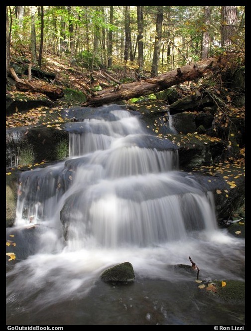 Falls Brook confluence