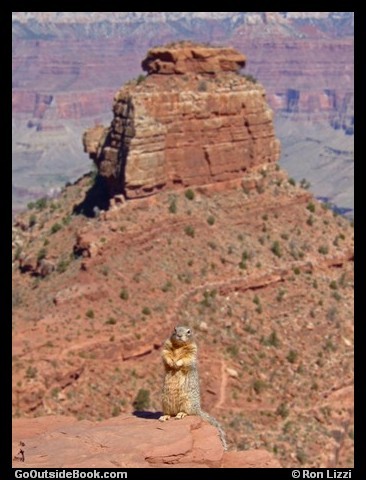 Grand Canyon Poser