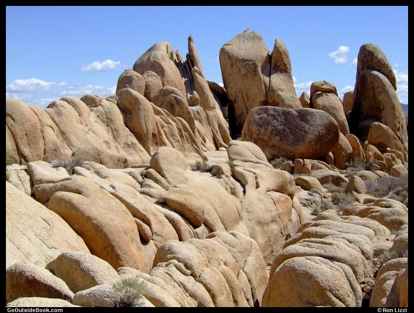 Arch Rock vicinity, Joshua Tree National Park, California