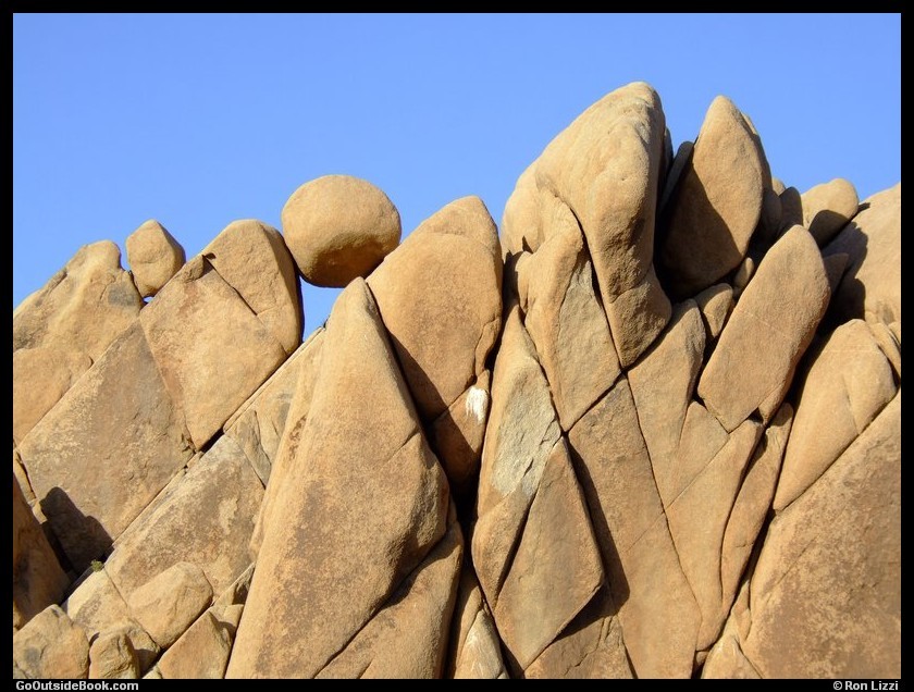 Jumbo Rocks vicinity, Joshua Tree National Park, California