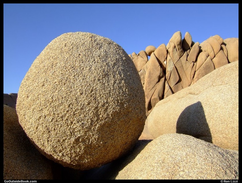 Jumbo Rocks vicinity, Joshua Tree National Park, California