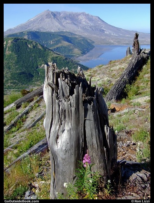 Independence Pass Trail 2 - Mount St. Helens 
