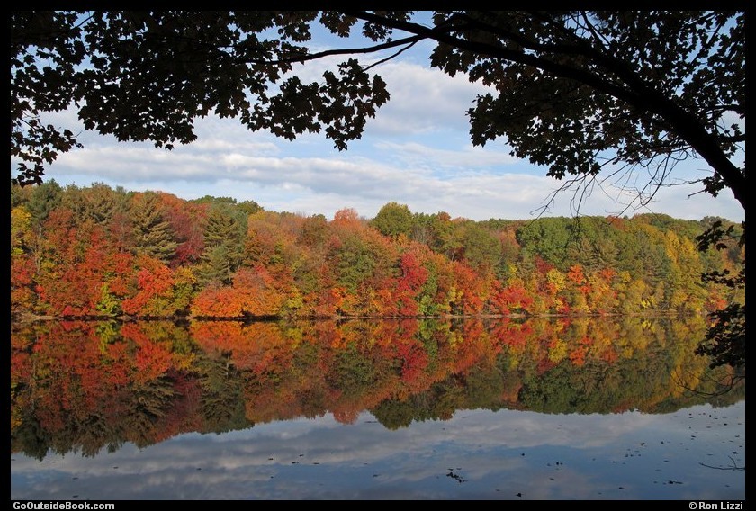 Fall foliage reflection in Naugatuck State Forest, Connecticut