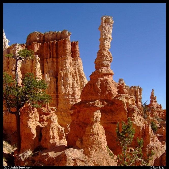 Bryce Temple and hoodoos