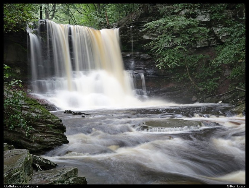 Sheldon Reynolds Falls