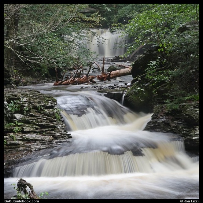 Wyandot Falls