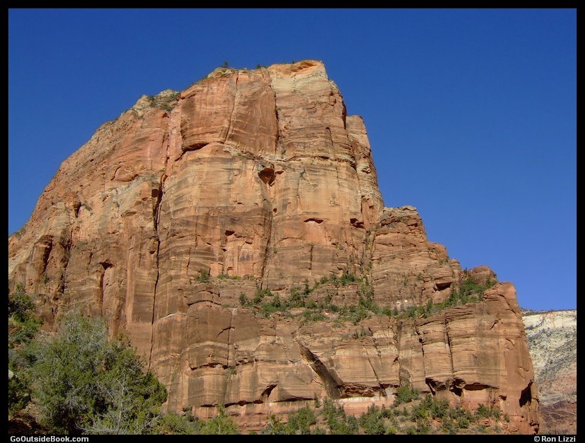 Angels Landing viewed from the West Rim Trail, Zion National Park, Utah