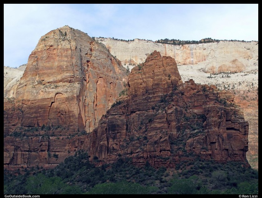 Zion Observation Pt 1