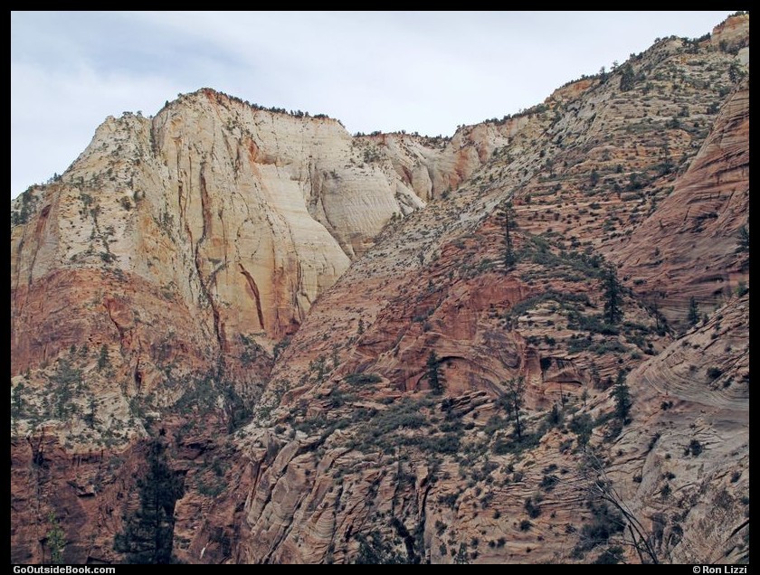 Zion Observation Pt 3