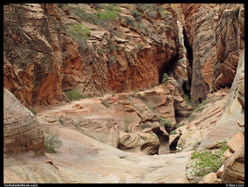 Zion Observation Pt 6