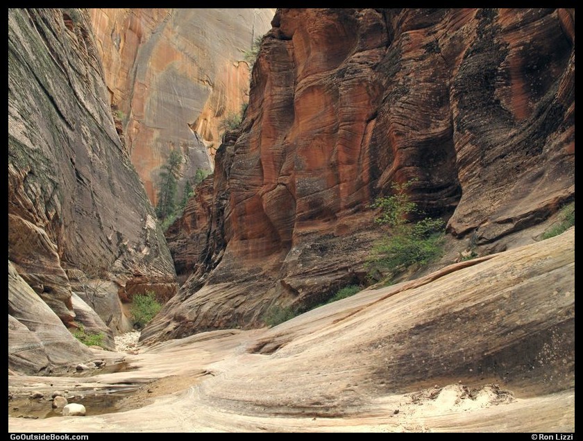 Zion Observation Pt 7