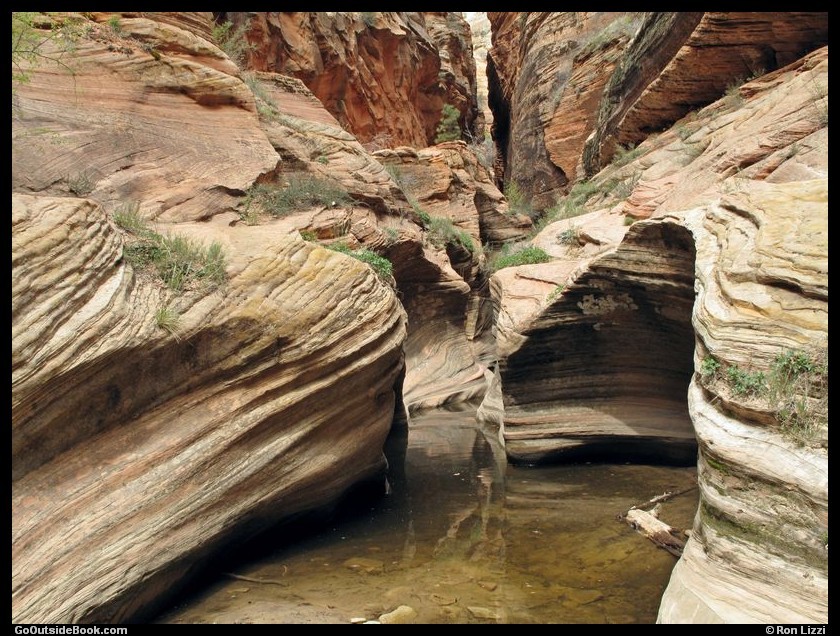 Zion Observation Pt 8