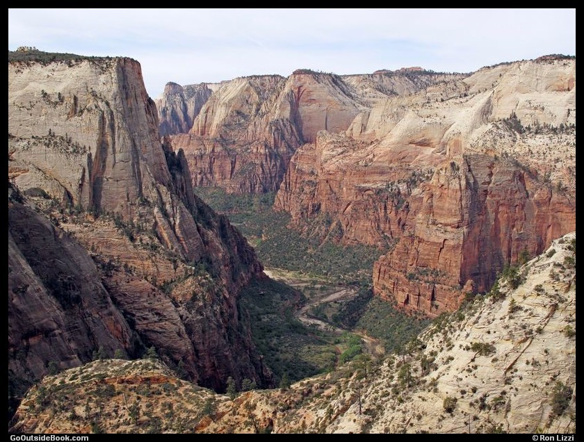 Zion Observation Pt 9