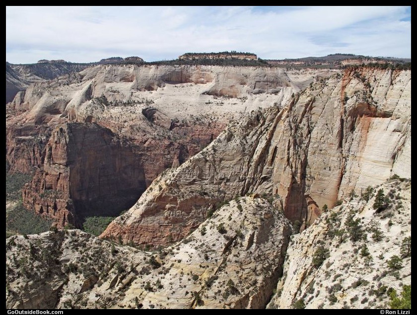 Zion Observation Pt 11
