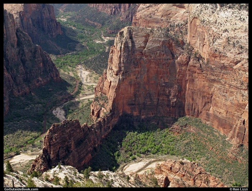 Zion Observation Pt 14