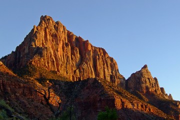 The Watchman